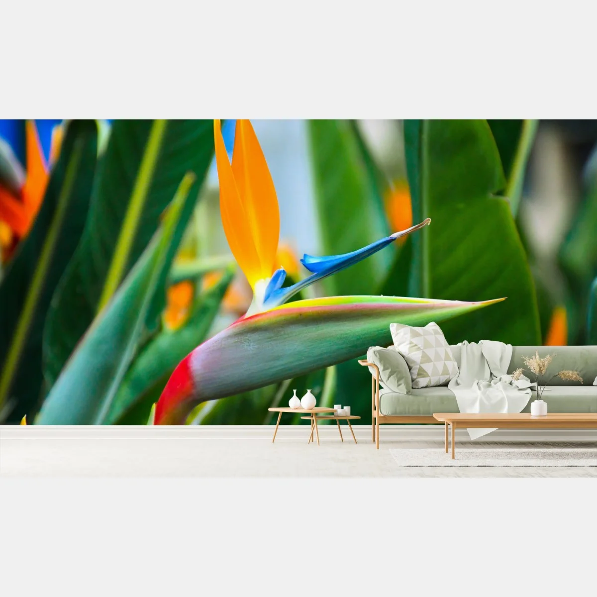 Carta da parati strelitzia esotica dai colori vivaci su sfondo verde • Wallissimo® Carta da parati strelitzia esotica dai colori vivaci su sfondo verde • Wallissimo®