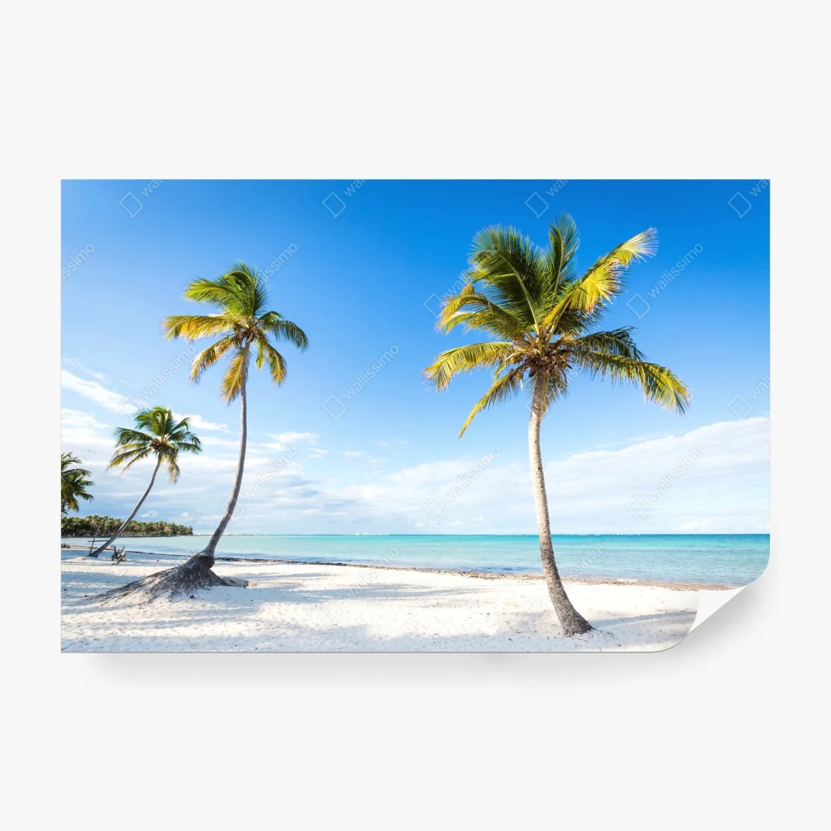 Carta da parati paradiso tropicale con palme e mare turchese • Wallissimo®