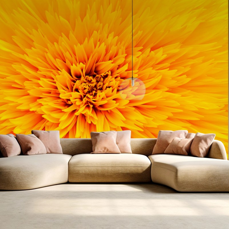 Carta da parati esplosione di petali: texture di girasole per arredo