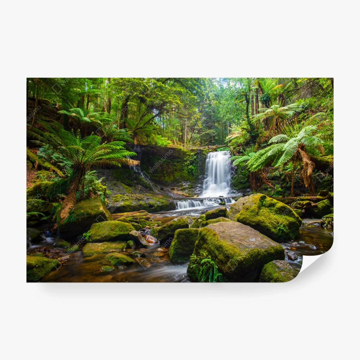 Carta da parati cascata nella foresta incontaminata • Wallissimo®