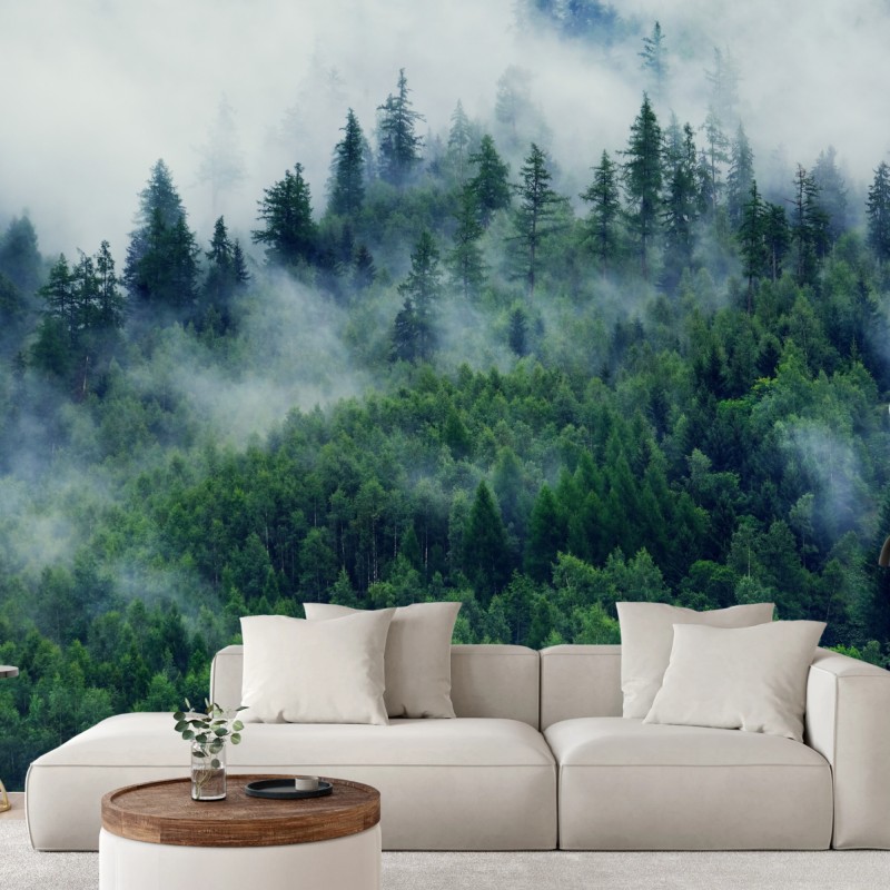 Carta da parati foresta avvolta dalla nebbia