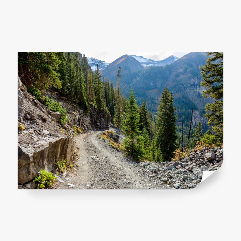 Carta da parati sentiero di montagna tra conifere e rocce