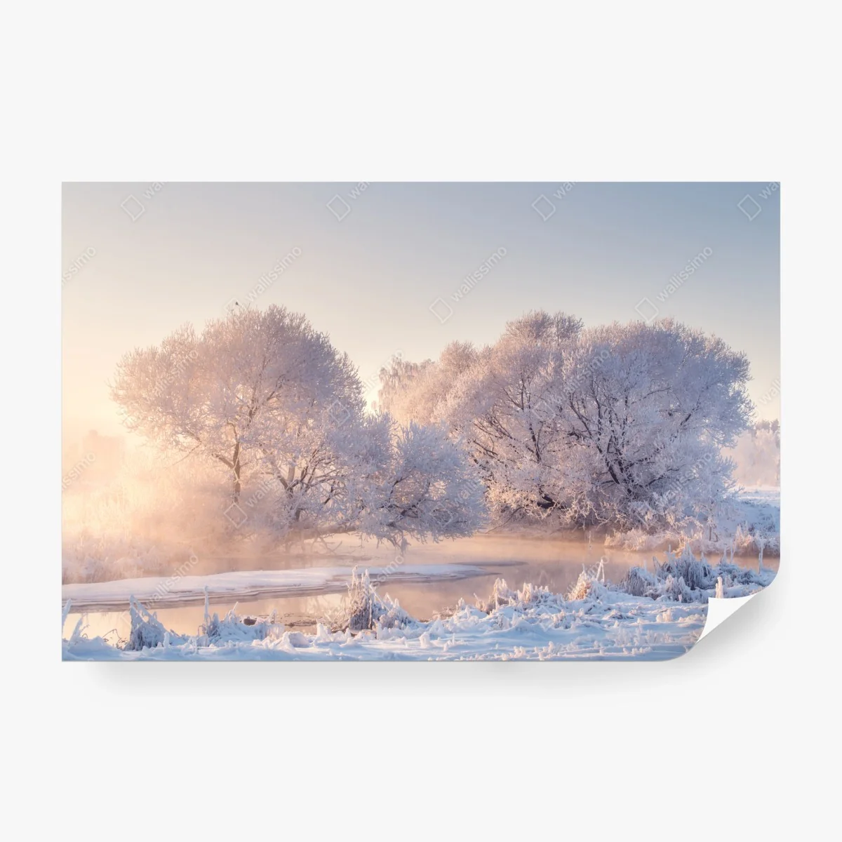 Carta da parati alba rosa sul paesaggio innevato • Wallissimo®