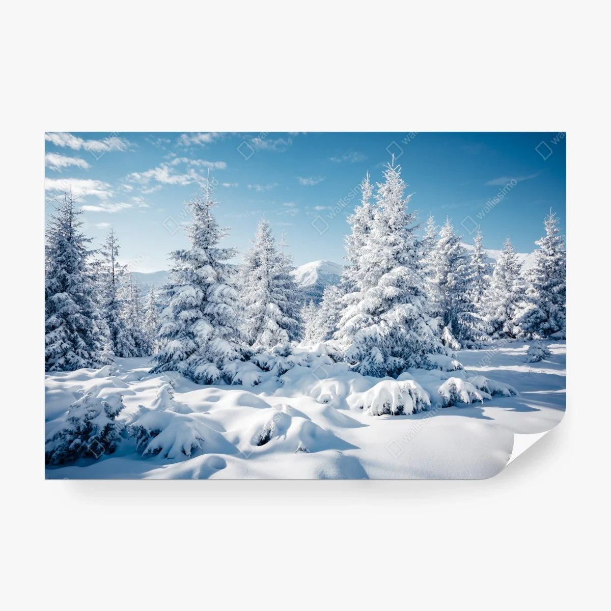Carta da parati silenzio innevato nei Carpazi, Ucraina • Wallissimo® Carta da parati silenzio innevato nei Carpazi, Ucraina • Wallissimo®