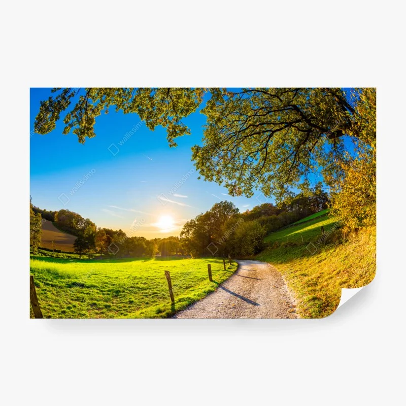 Carta da parati sentiero dorato nella valle al tramonto