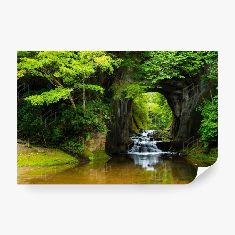 Carta da parati arco naturale con cascata nella foresta