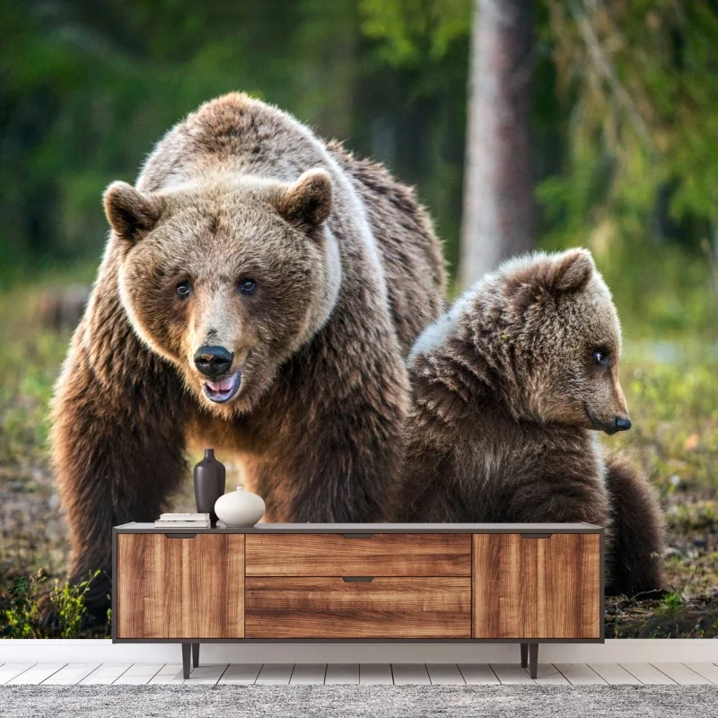 Carta da parati orso bruno con cucciolo nella foresta
