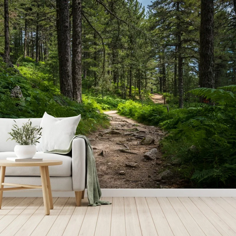 Carta da parati sentiero silenzioso nel bosco