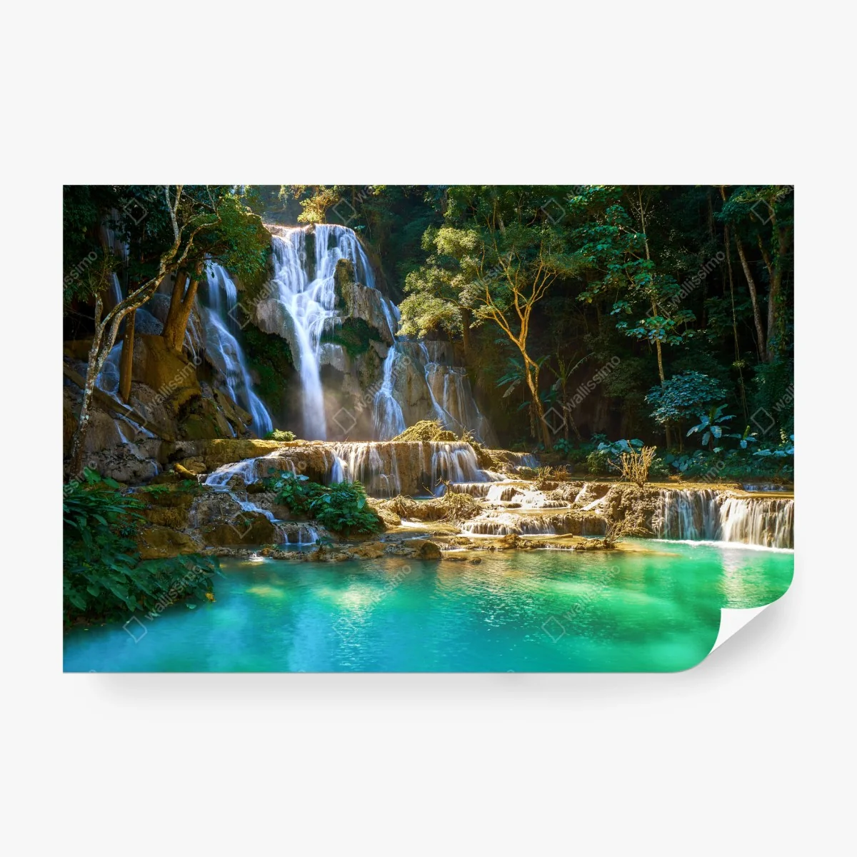Carta da parati oasi di cascata nella foresta tropicale • Wallissimo®