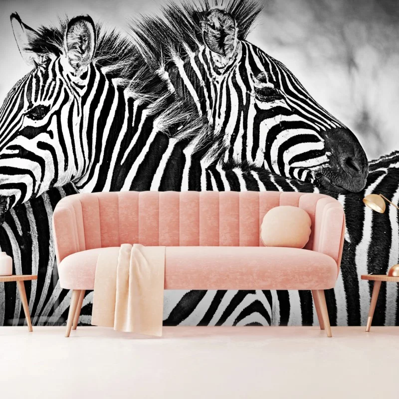 Carta da parati intreccio di righe: zebre in bianco e nero