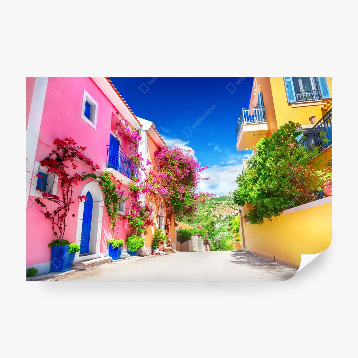 Carta da parati viale fiorito a Cefalonia • Wallissimo® Carta da parati viale fiorito a Cefalonia • Wallissimo®