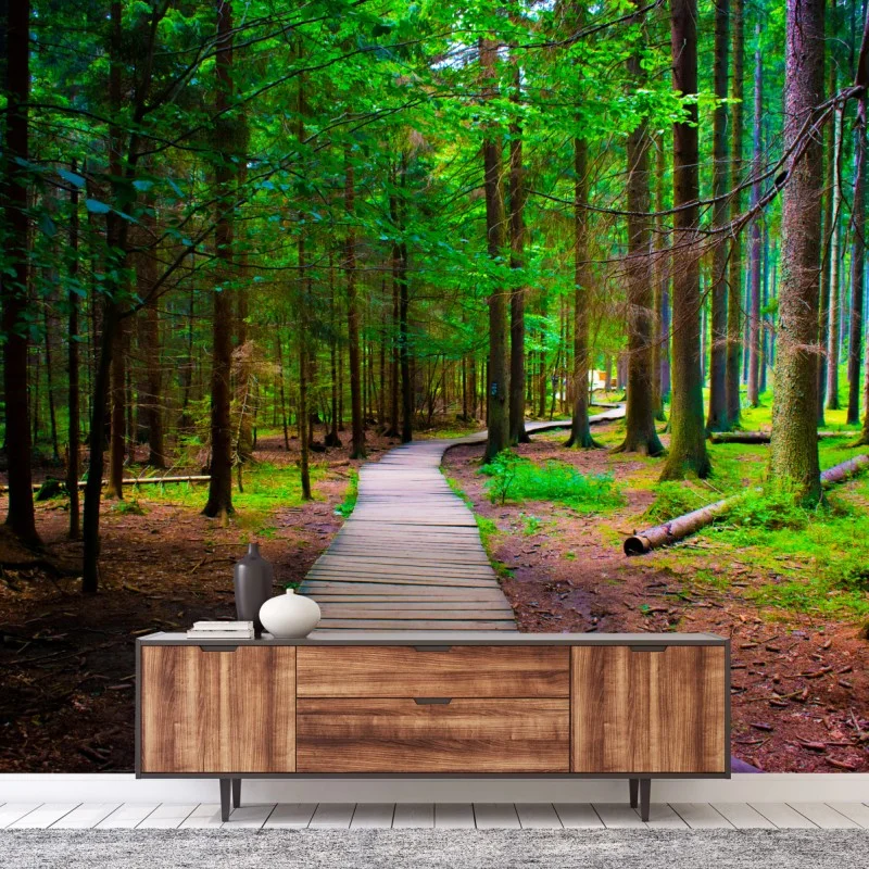 Carta da parati sentiero nel bosco verde