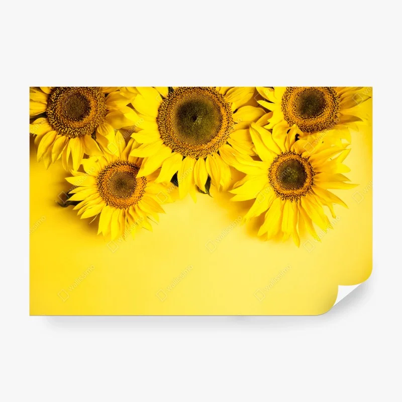 Carta da parati girasoli su sfondo giallo vivace