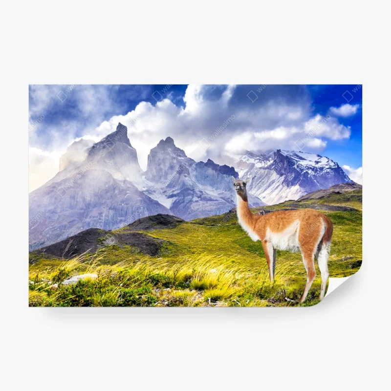 Carta da parati quiete patagonica a Torres del Paine