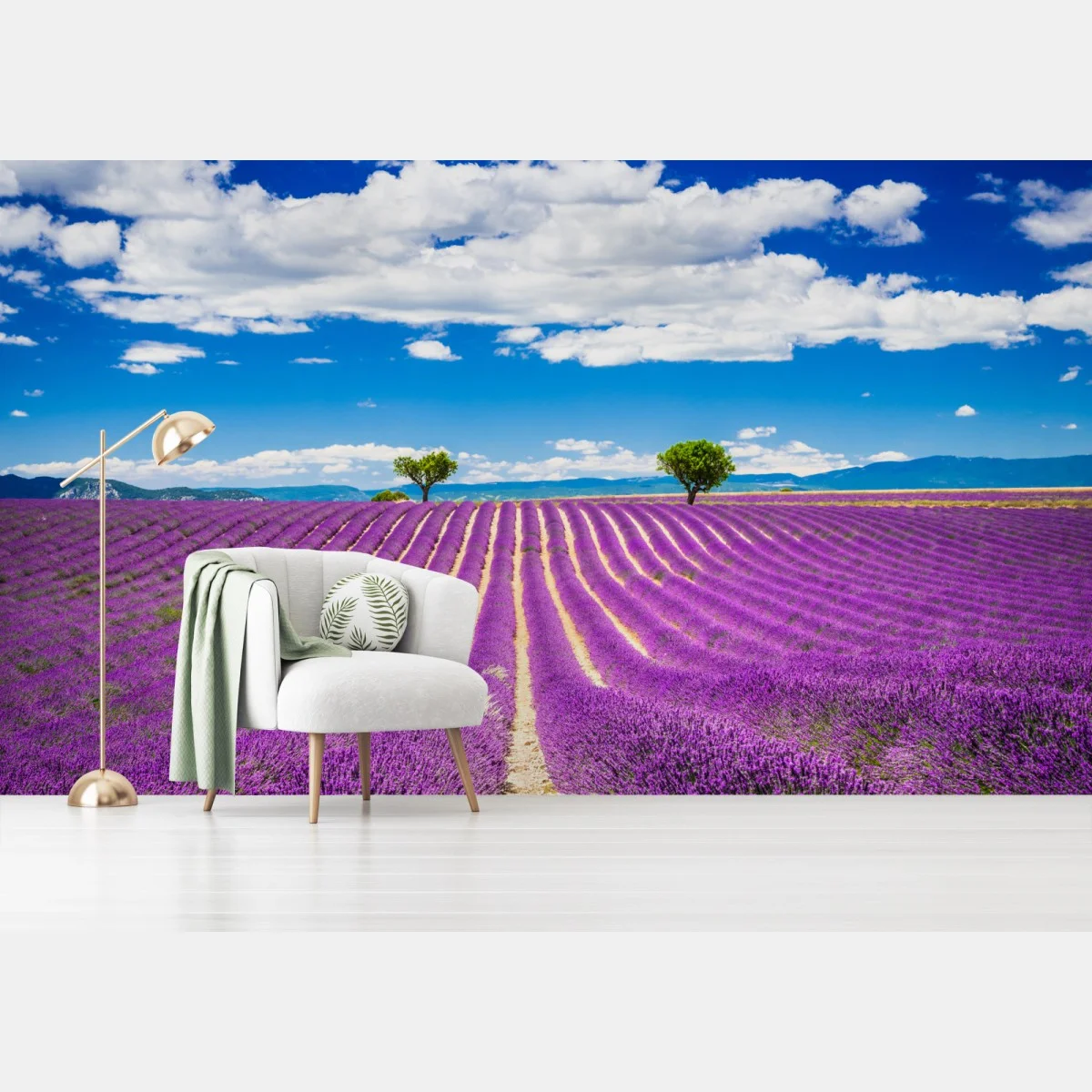 Carta da parati campo di lavanda a Valensole, Provenza • Wallissimo® Carta da parati campo di lavanda a Valensole, Provenza • Wallissimo®