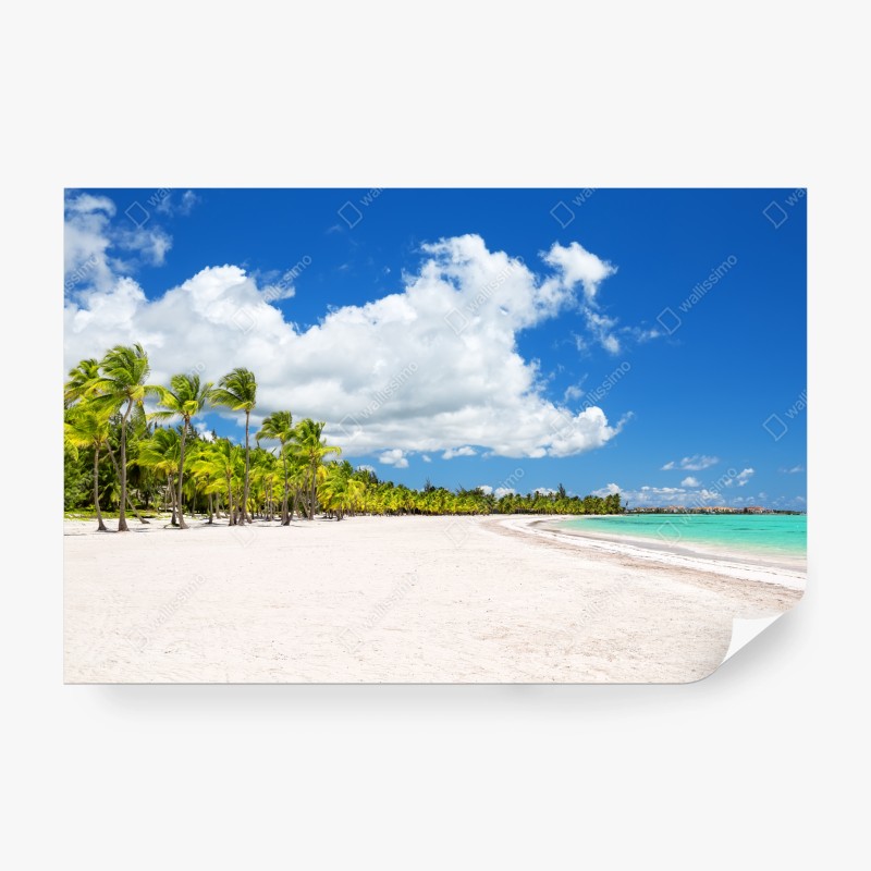 Carta da parati paradiso tropicale a Punta Cana