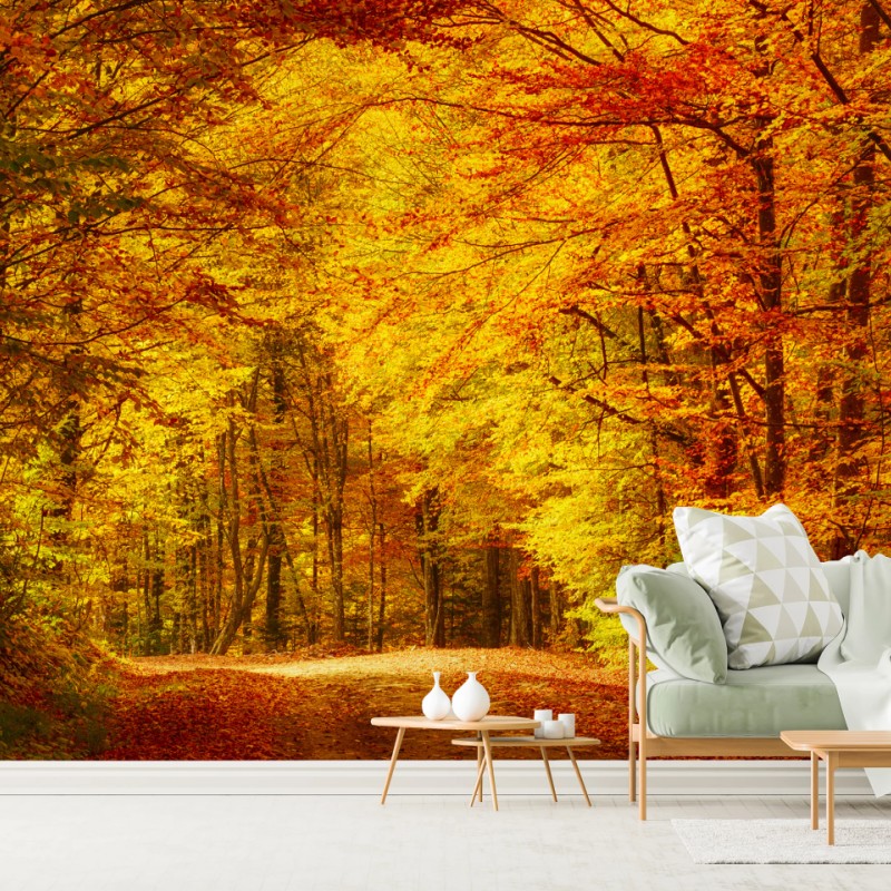 Carta da parati sentiero d'autunno nel bosco dorato