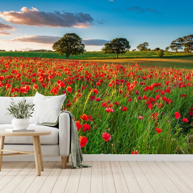 Carta da parati campo di papaveri a Corbridge, Northumberland