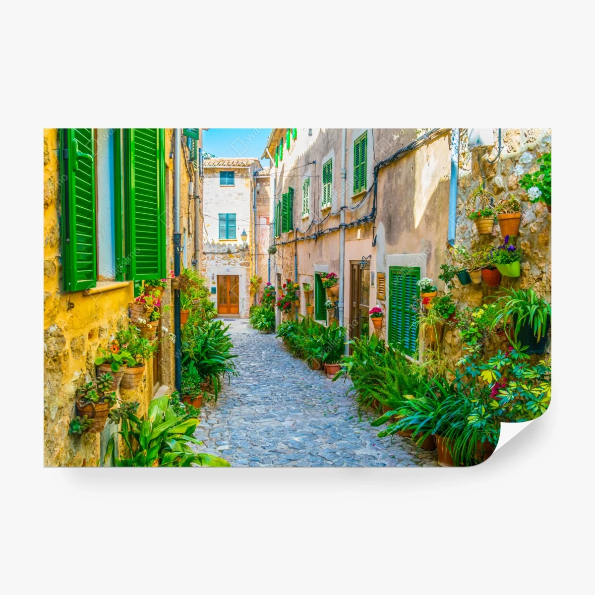 Carta da parati vicolo fiorito in pietra • Wallissimo®