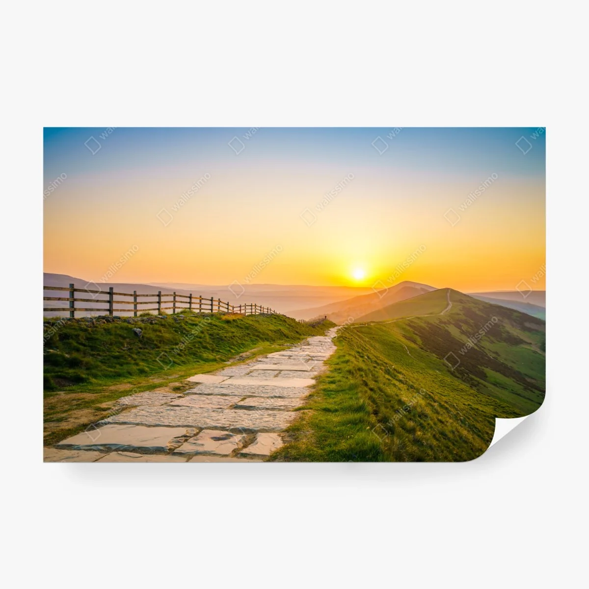 Carta da parati sentiero dorato tra le colline al tramonto • Wallissimo®