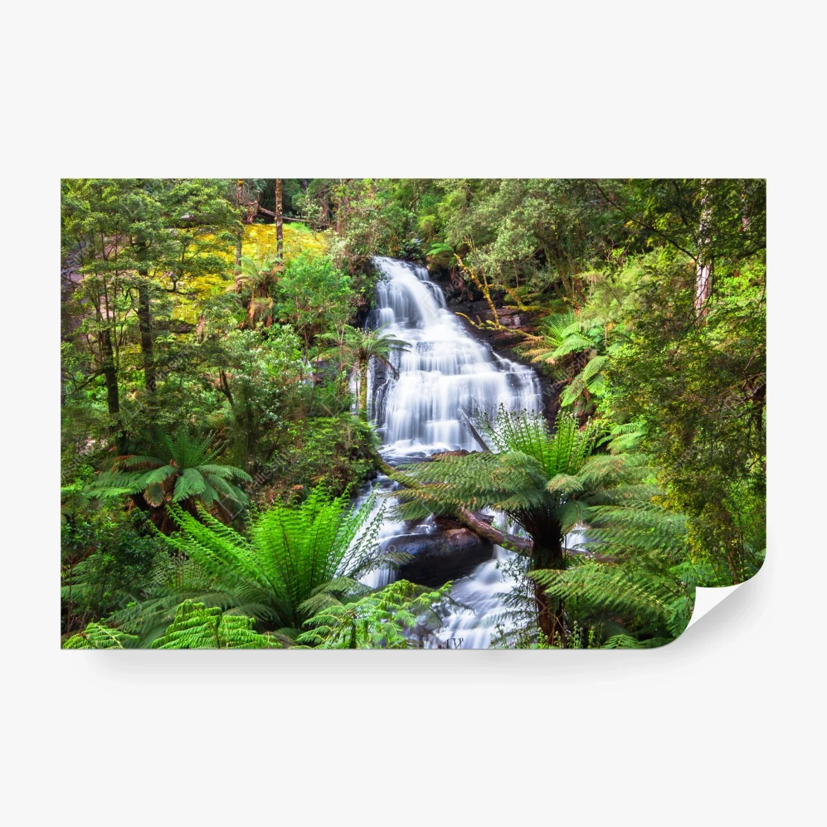 Carta da parati cascata Triplet Falls nella Great Otway National Park • Wallissimo® Carta da parati cascata Triplet Falls nella Great Otway National Park • Wallissimo®