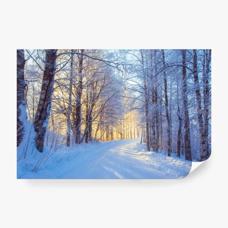 Carta da parati bosco innevato alla luce dorata