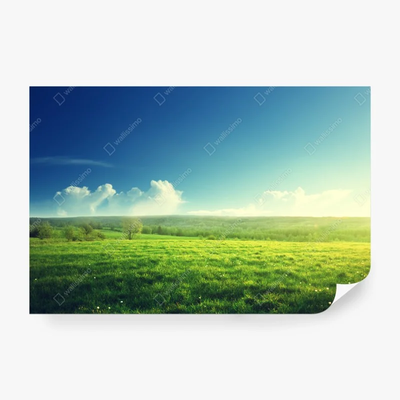 Carta da parati paesaggio primaverile al tramonto