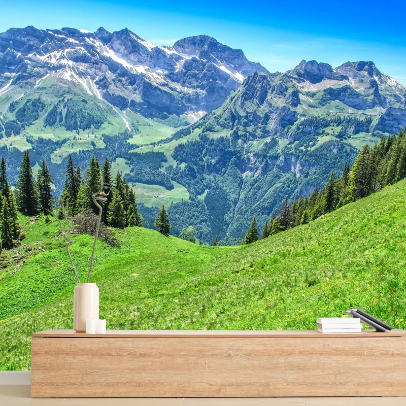 Carta da parati panorama alpino estivo - Alpi Svizzere, Engelberg