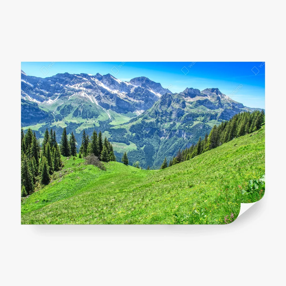 Carta da parati panorama alpino estivo - Alpi Svizzere, Engelberg • Wallissimo® Carta da parati panorama alpino estivo - Alpi Svizzere, Engelberg • Wallissimo®