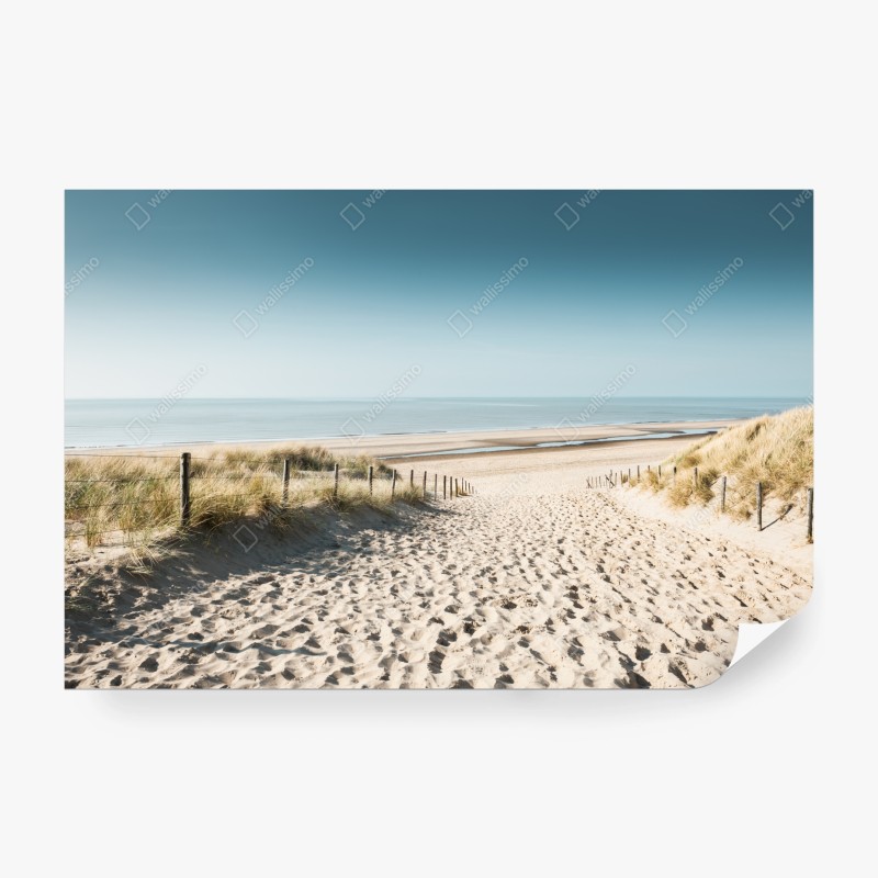 Carta da parati sabbia e mare a Noordwijk
