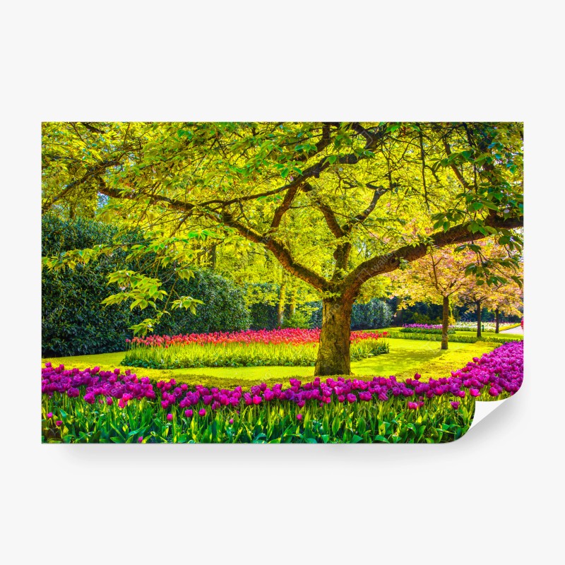 Carta da parati giardino di tulipani primaverile a Keukenhof