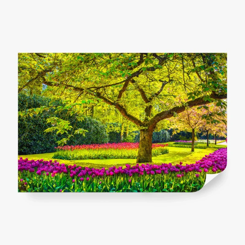 Carta da parati giardino di tulipani primaverile a Keukenhof