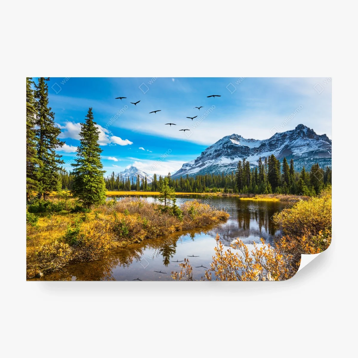 Carta da parati riflessi d'autunno alle Montagne Rocciose • Wallissimo®