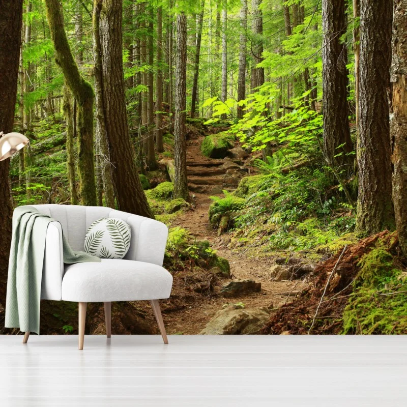 Carta da parati sentiero nella foresta verde