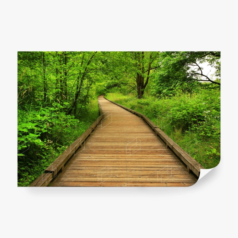 Carta da parati sentiero di legno nella foresta verde