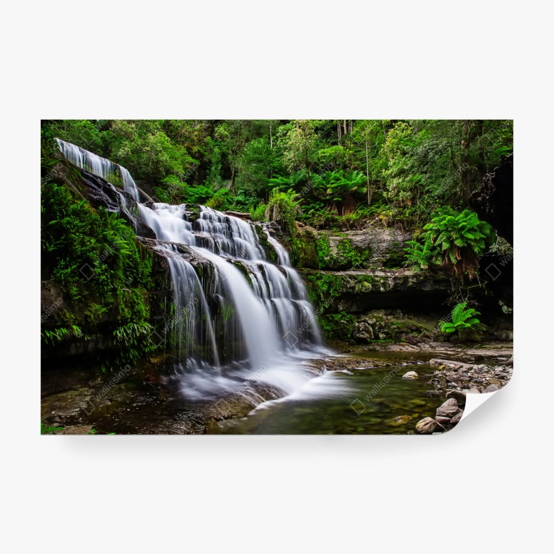 Carta da parati cascate di Liffey, rifugio verde in Tasmania