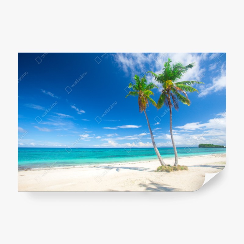 Carta da parati spiaggia turchese con palme