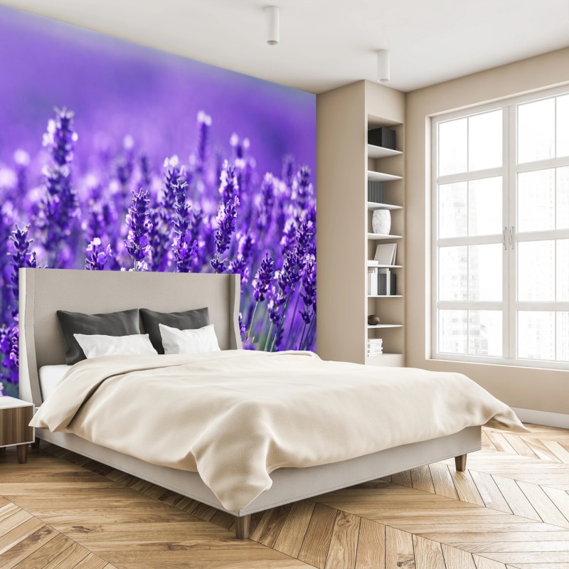 Carta da parati un mare di lavanda in dettaglio