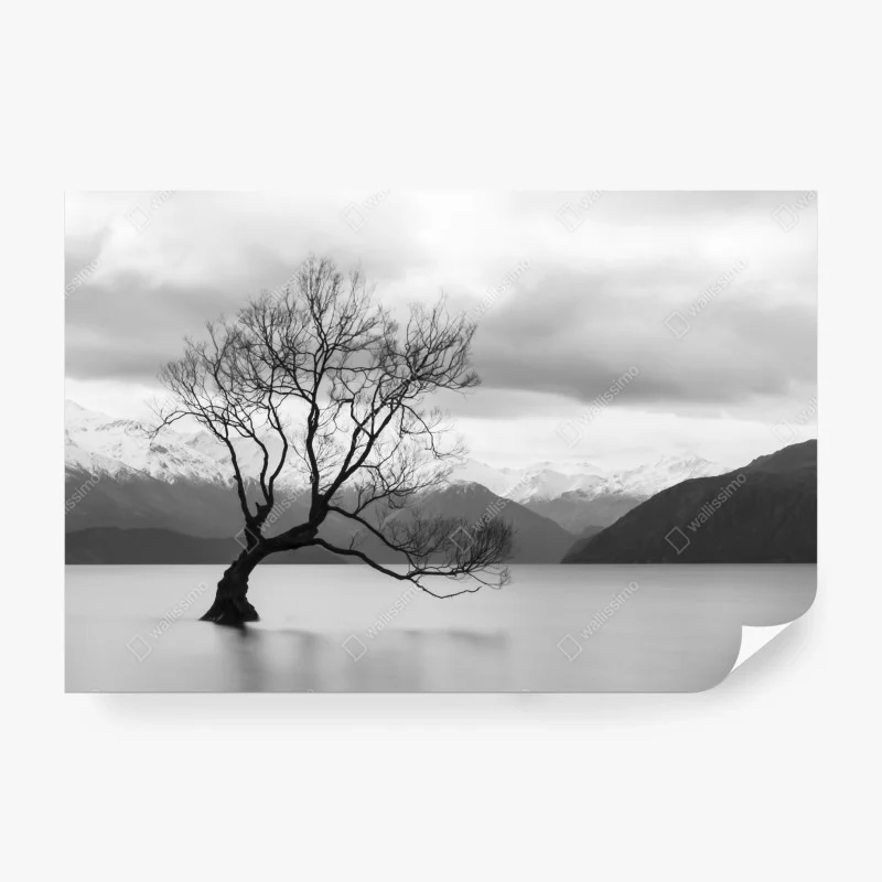 Carta da parati albero solitario nel lago montano