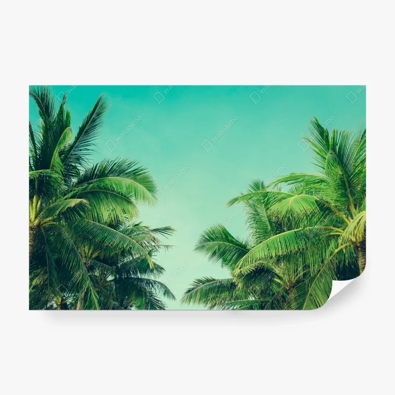 Carta da parati oasi tropicale - palme e cielo turchese