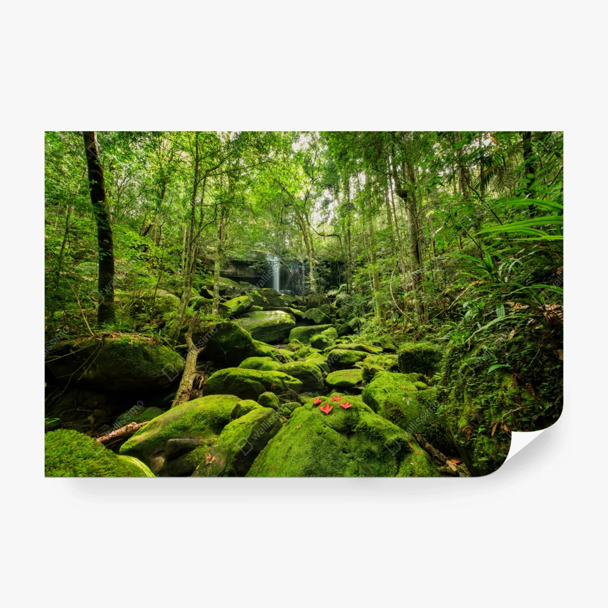 Carta da parati oasi di muschio e cascata nella foresta pluviale • Wallissimo®