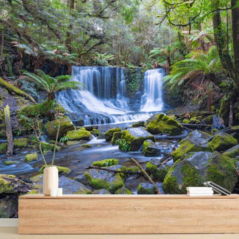 Carta da parati cascata tra le felci nella foresta