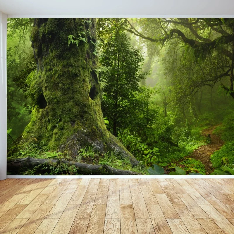 Carta da parati foresta incantata: sentiero tra alberi secolari