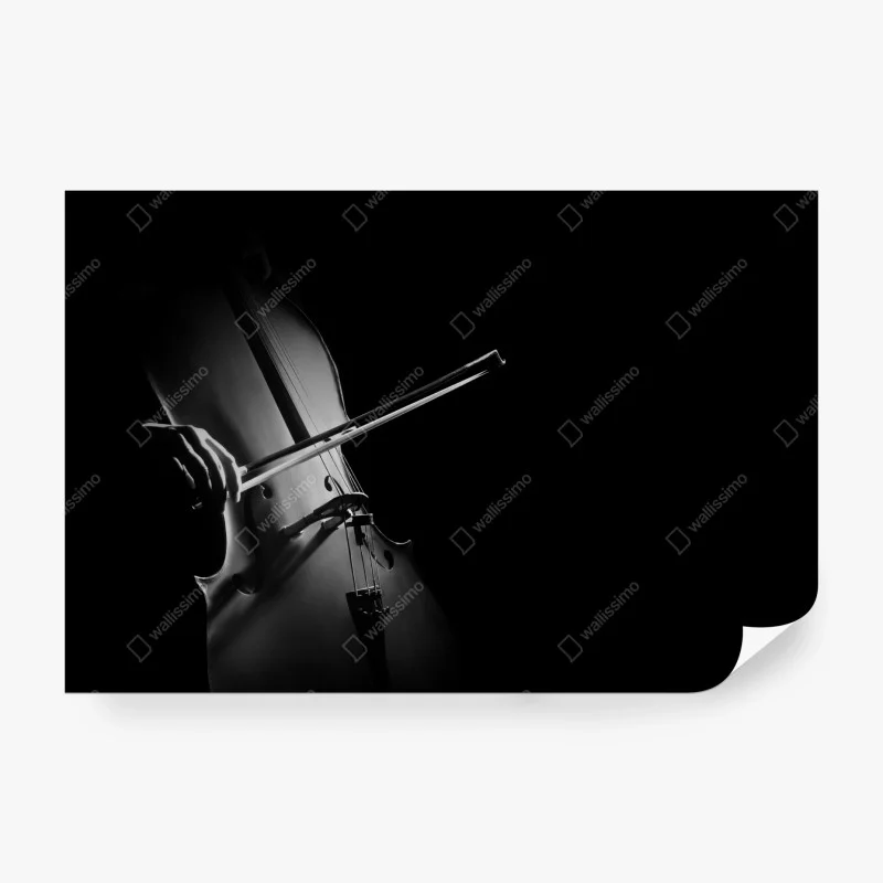 Carta da parati emozione del violoncello in bianco e nero