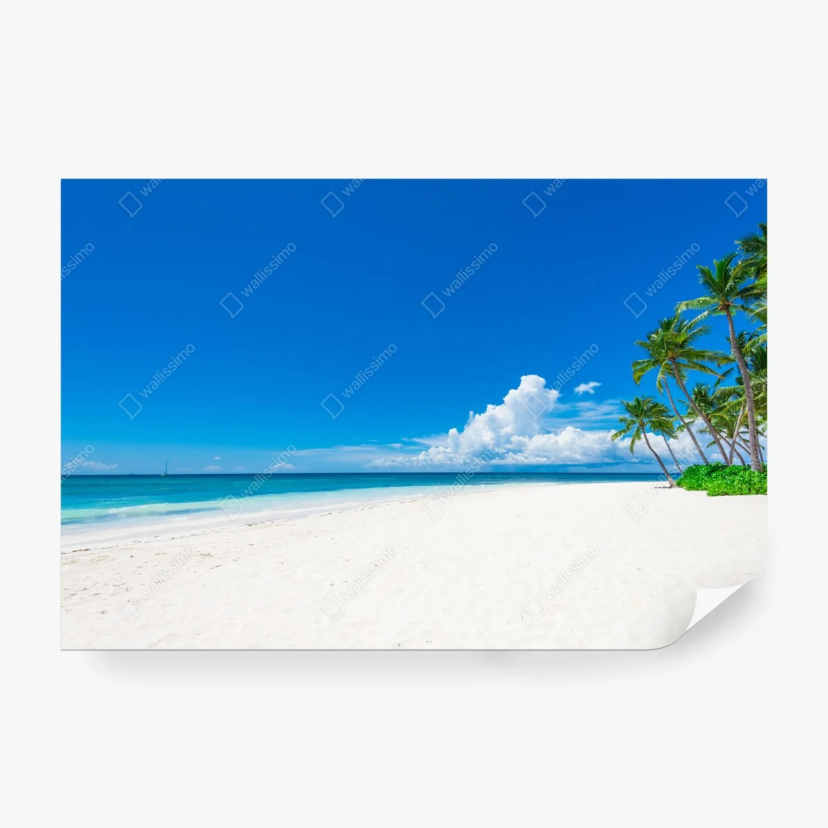 Carta da parati spiaggia tropicale da sogno • Wallissimo®