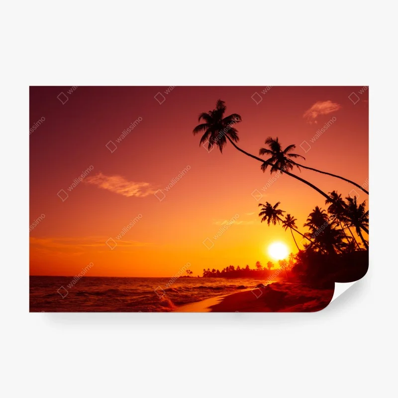 Carta da parati tramonto tropicale con palme in silhouette