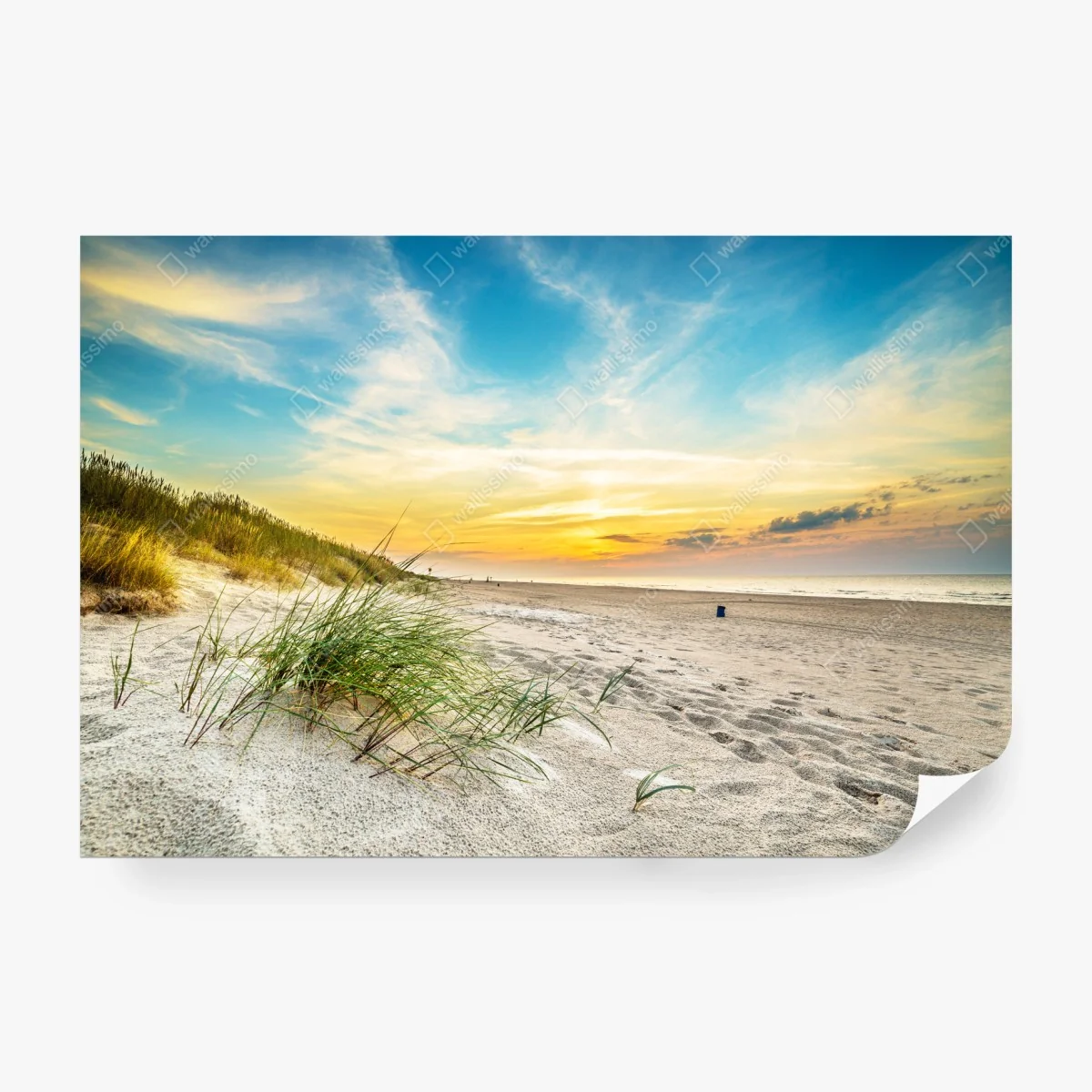 Carta da parati tramonto sulla spiaggia con dune e erba marina • Wallissimo®