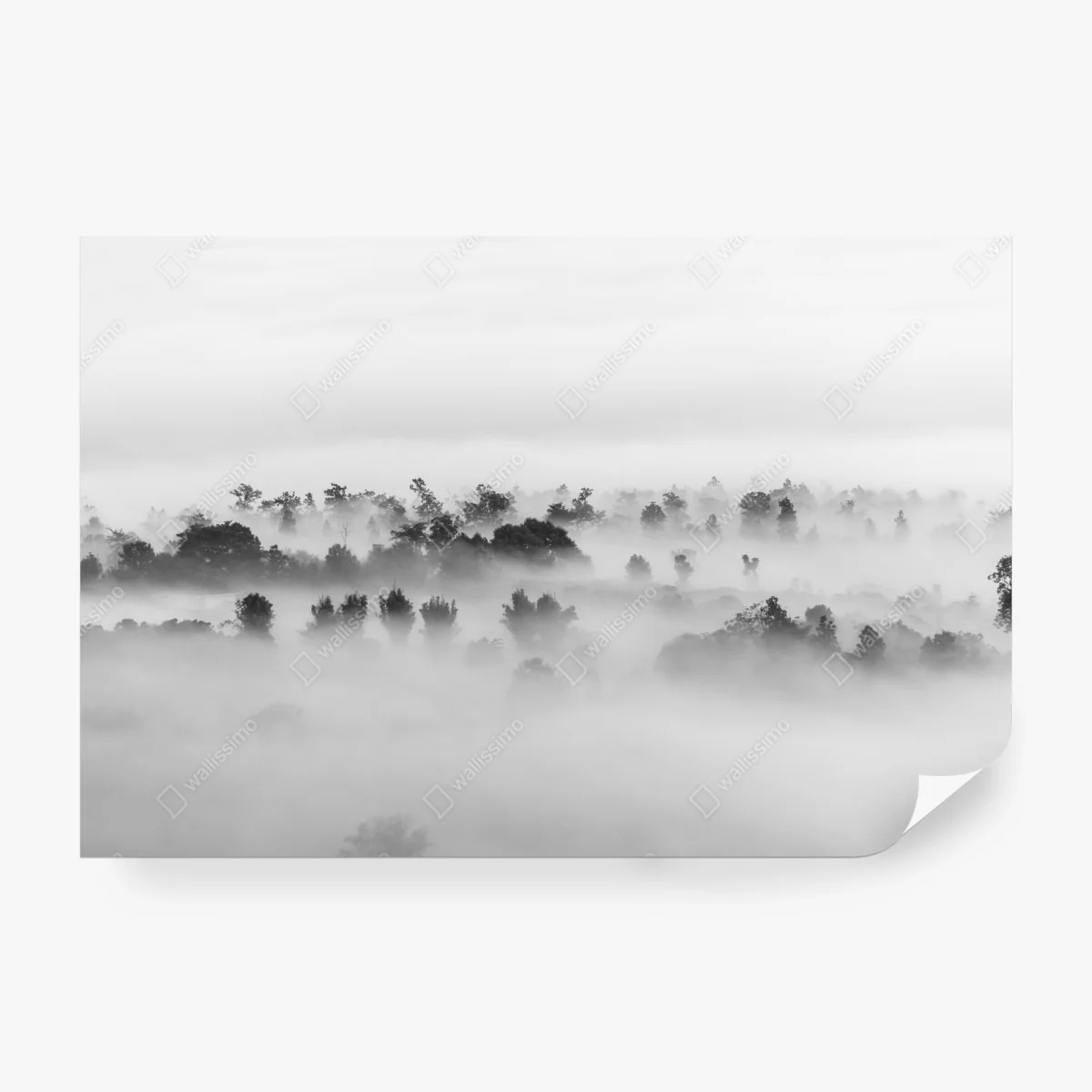 Carta da parati mare di nuvole sulla foresta - minimalismo in bianco e nero • Wallissimo® Carta da parati mare di nuvole sulla foresta - minimalismo in bianco e nero • Wallissimo®