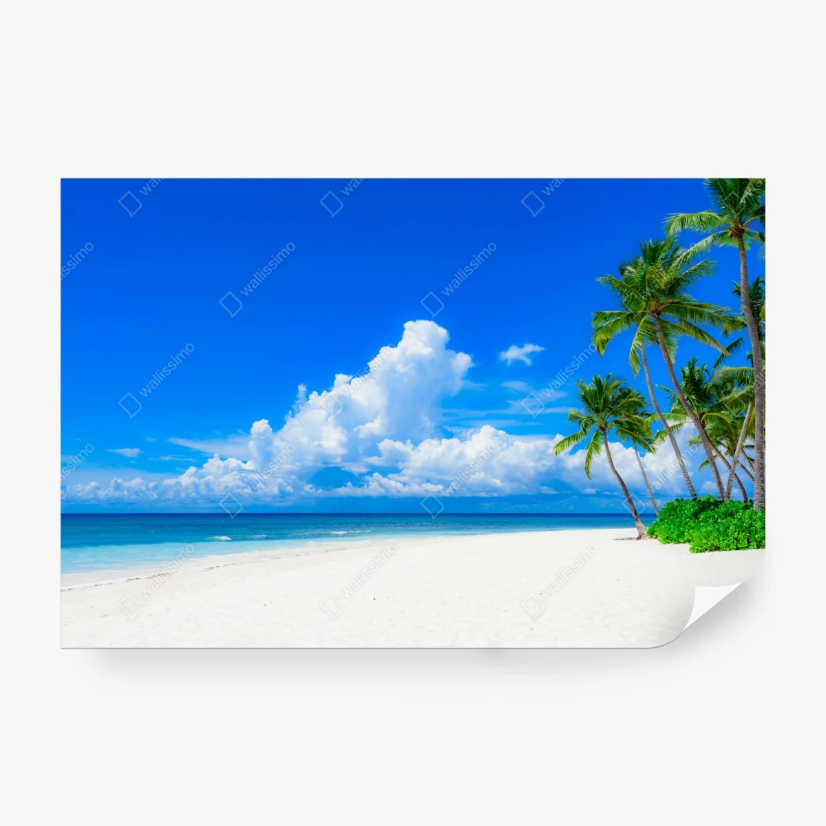 Carta da parati paradiso tropicale con palme e sabbia bianca • Wallissimo®