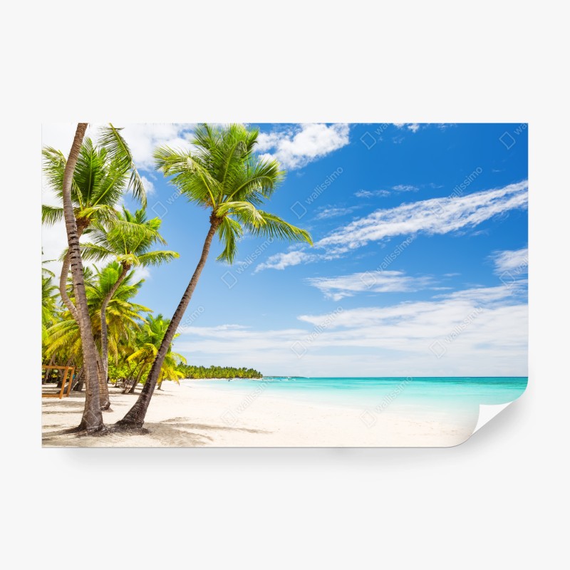 Carta da parati paradiso tropicale di Punta Cana